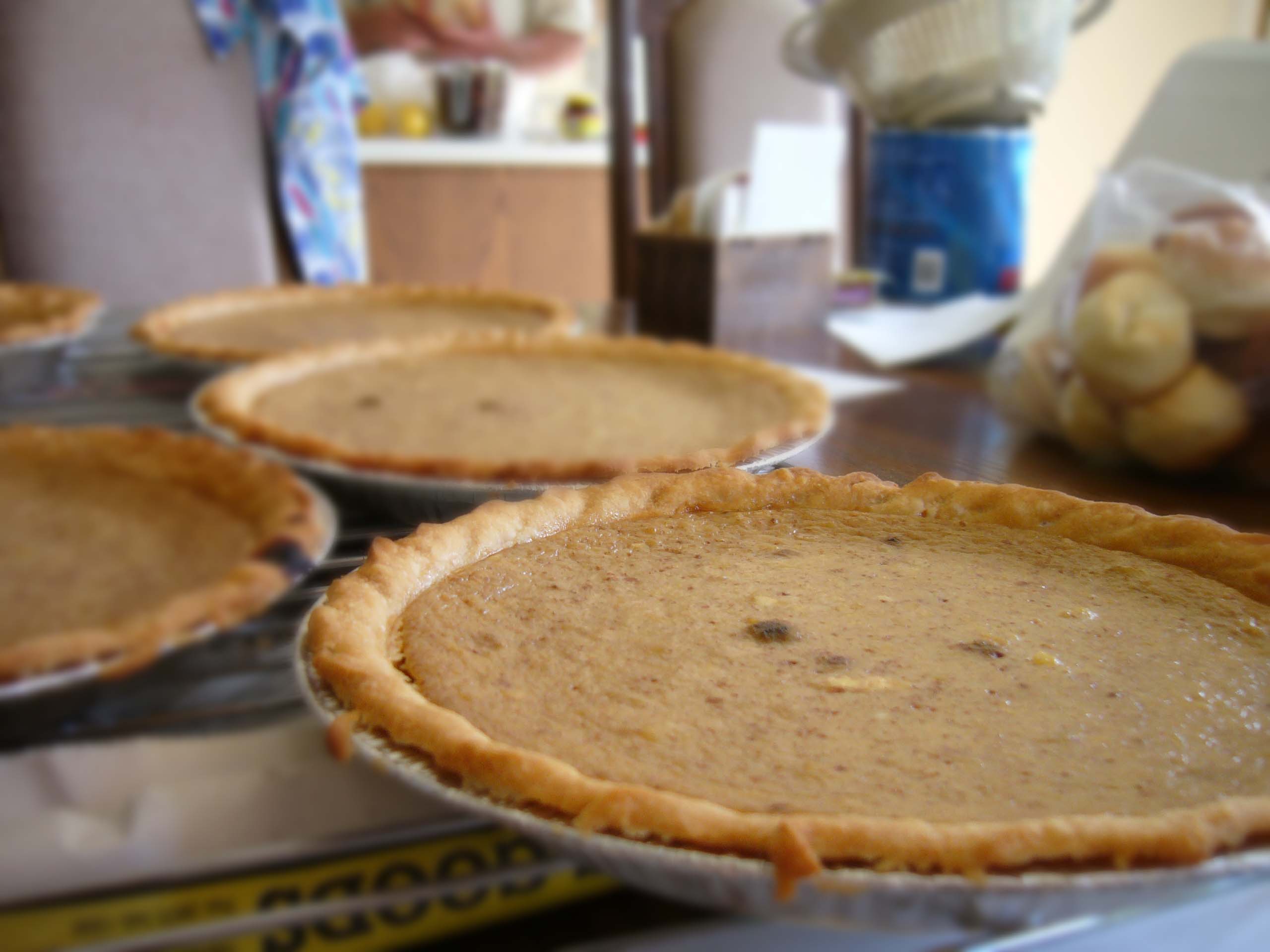 Pumpkin Pie